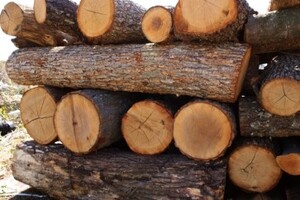 , купить, заказать, продажа, строитель, стройка, стройматериалы, строительные материалы, Херсон, Каховка, Новая Каховка, Цюрупинск
